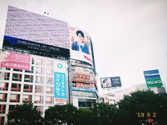 -涩谷区