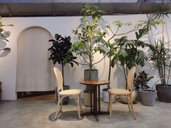 -自由生长植物工作室(深港花卉中心店)