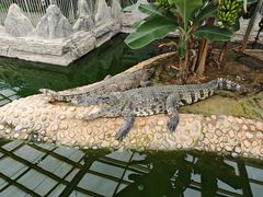 -石家庄市动物园