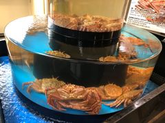 -蟹道乐(道顿堀本店)