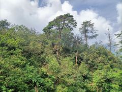 -峨眉山风景名胜区