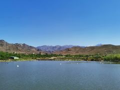 -新疆天山野生动物园