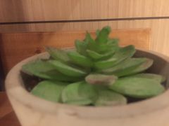 -必胜客(海滨店)