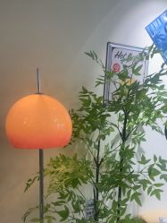 -变美丽半永久纹眉连锁·机器野生眉•洗眉