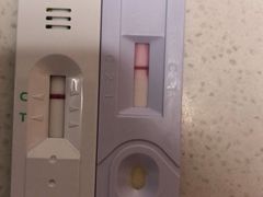 -瑞派·关忠动物医院·异宠专科·犬猫肿瘤·皮肤专科(望京店)