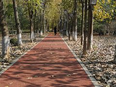 -南京信息职业技术学院