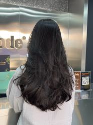 -Hair Code芭曲发型