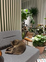 -优刻西服西装定制(金轮国际广场店)