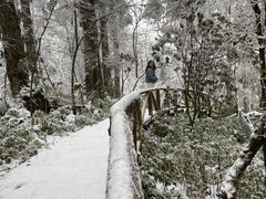 -龙苍沟森林公园