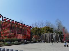 -合肥滨湖国家森林公园