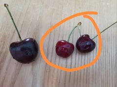 -江杨农产品批发市场