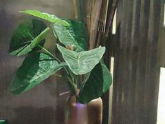 -观唐足道SPA养生会馆(南湖店)