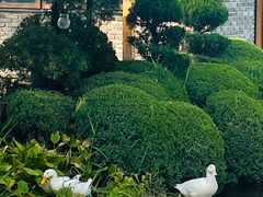 -熙古里艺术村