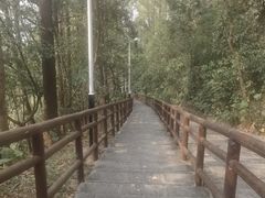 -水濂山森林公园