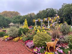 -上海共青森林公园