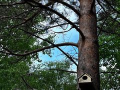 -北极村旅游风景区