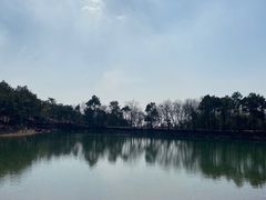 -南京市无想山景区