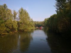 -溱湖国家湿地公园