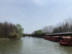 -溱湖国家湿地公园