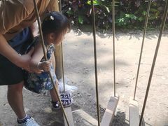 -青青世界