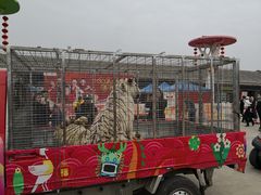 -西安秦岭野生动物园