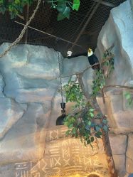 -Zoolung Zoolung动物主题公园(海信广场店)