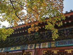 -香山公园