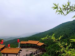 -铁山坪森林公园