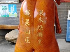 -花果山庄•现烤荔枝柴烧鹅