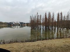 -白鹭湾湿地公园