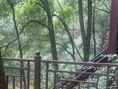 -巴倒烫陆派重庆火锅(南山店)