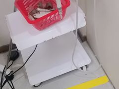 -登特口腔医院(鼓楼东街口店)