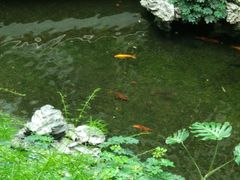-白天鹅宾馆·流浮阁咖啡厅