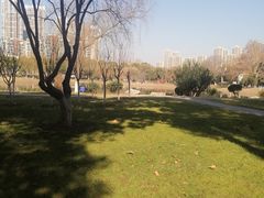 -堤角公园