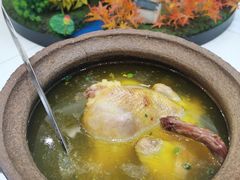 -刘胖子家常菜·蹄花焖藕(中南店)