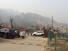 -闻道食府烙饼卷带鱼(原车耳营店原大觉寺店)