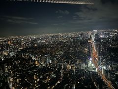 -六本木新城展望台(东京城市景观)