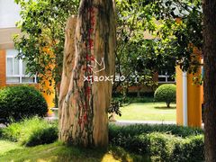 -上海市民办金苹果学校