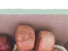 新品小馒头-奶奶的美食(李村步行街店)