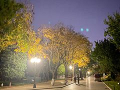-中山公园音乐堂