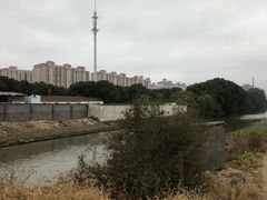 -南汇桃花村