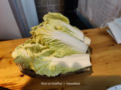 娃娃菜-陈陈火锅(较场口店)