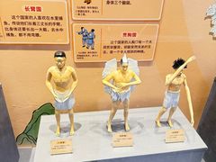 -陕西自然博物馆