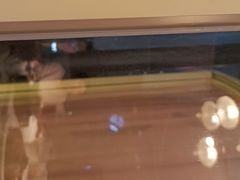 -天山传奇新疆菜(SKLP店)