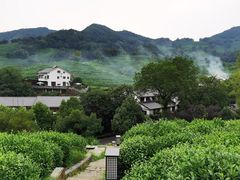 -龙井村