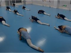 -西安小天鹅艺术团(曲江Alice店)