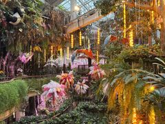 -正佳雨林生态植物园