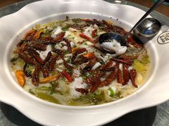 -首秀·四川料理(星耀101店)