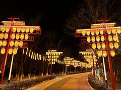 -青龙湖公园