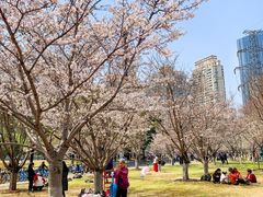 -西北湖绿化广场